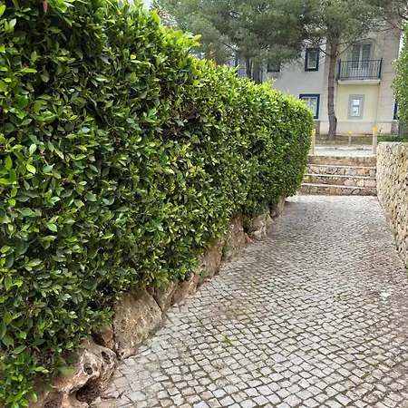V4 - 8 To 11 People, 5 Min Walk Semesterbostad *