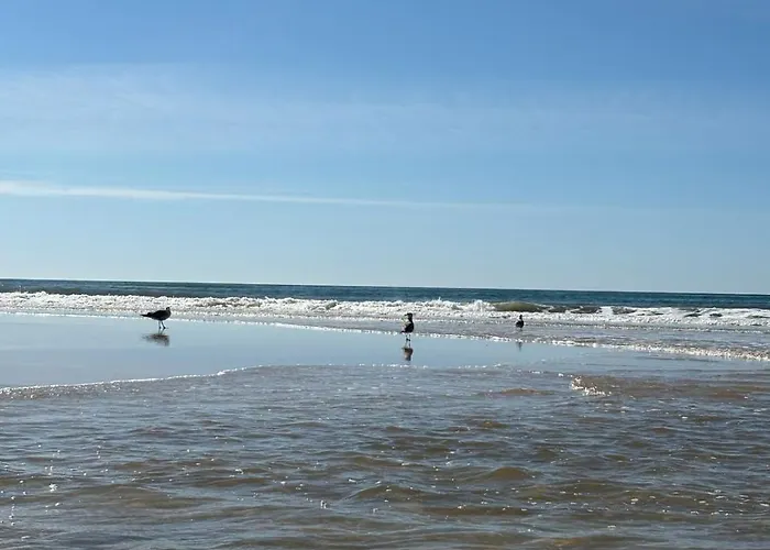 בית נופש V4 - 8 To 11 People, 5 Min Walk Praia Verde