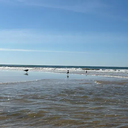 Semesterbostad V4 - 8 To 11 People, 5 Min Walk Praia Verde