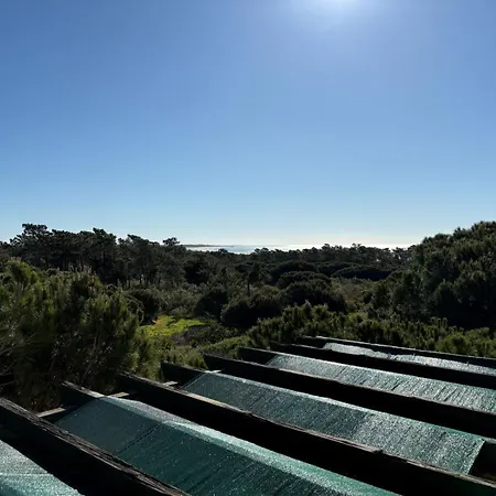 V4 - 8 To 11 People, 5 Min Walk